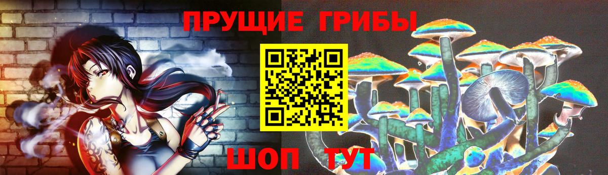 закладки  Вход с VPN  Котлас  Галлюциногенные грибы Psilocybe 